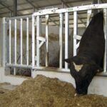 Stel hangbanden voor stierebox deur compleet - Afbeelding 3