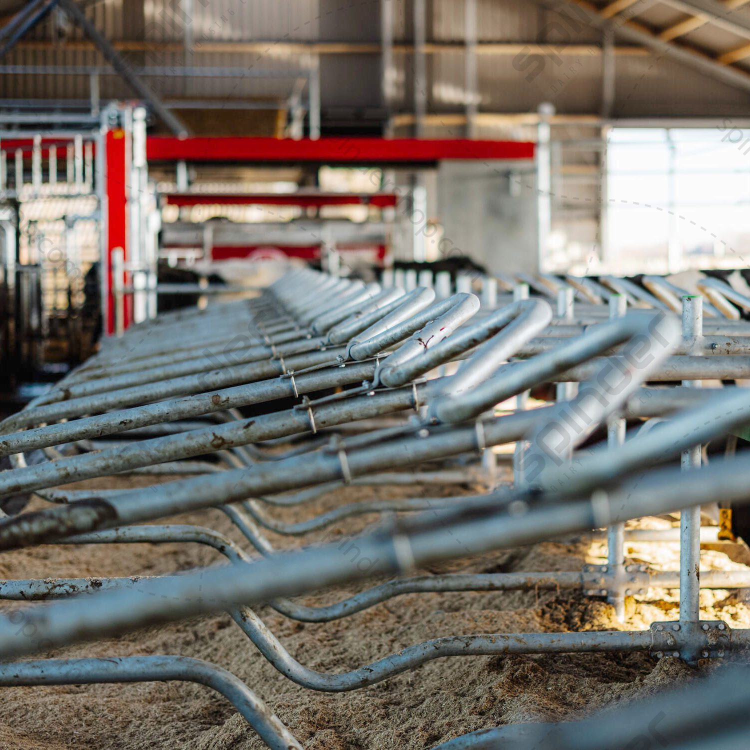 0192-golfschoftboom-spinder-3268 Golfschoftboom