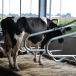 Dual waterbed met enkel vulpunt