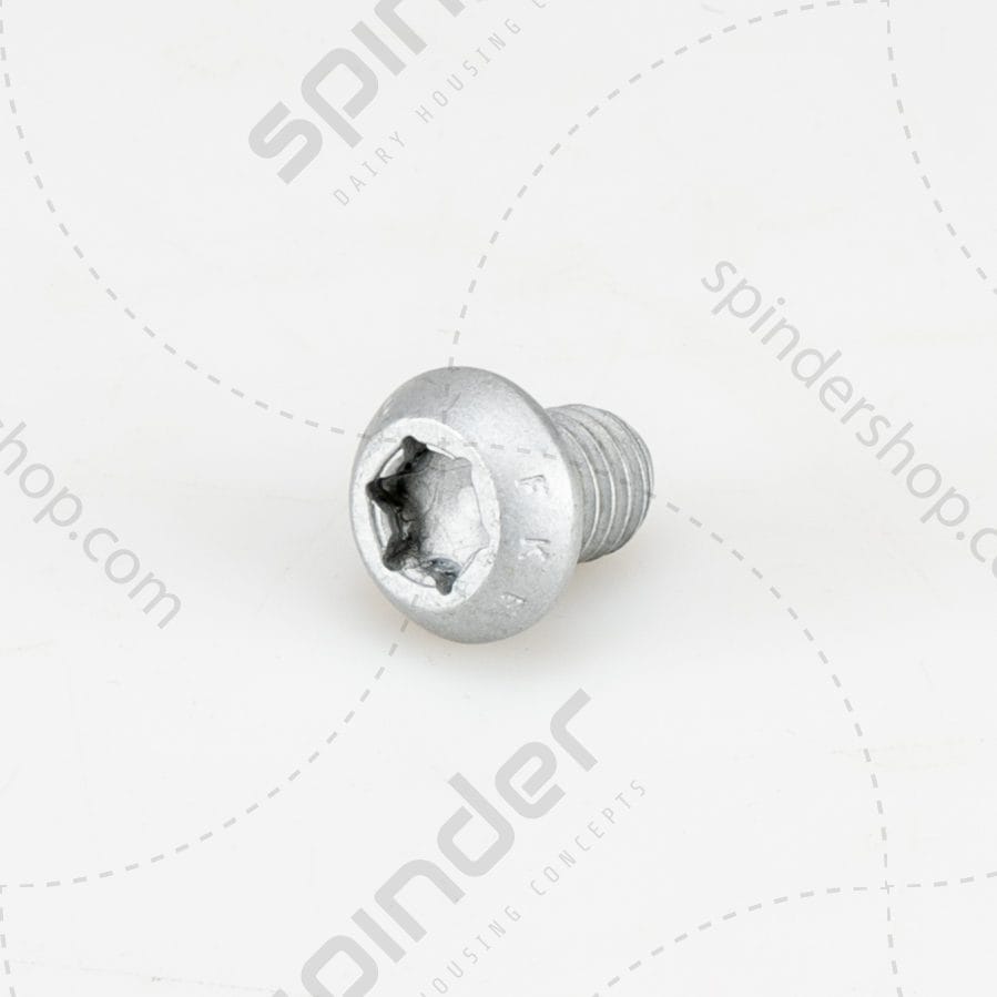 Bolkop torx M8